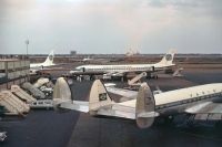 Photo: Varig, Lockheed Constellation, PP-